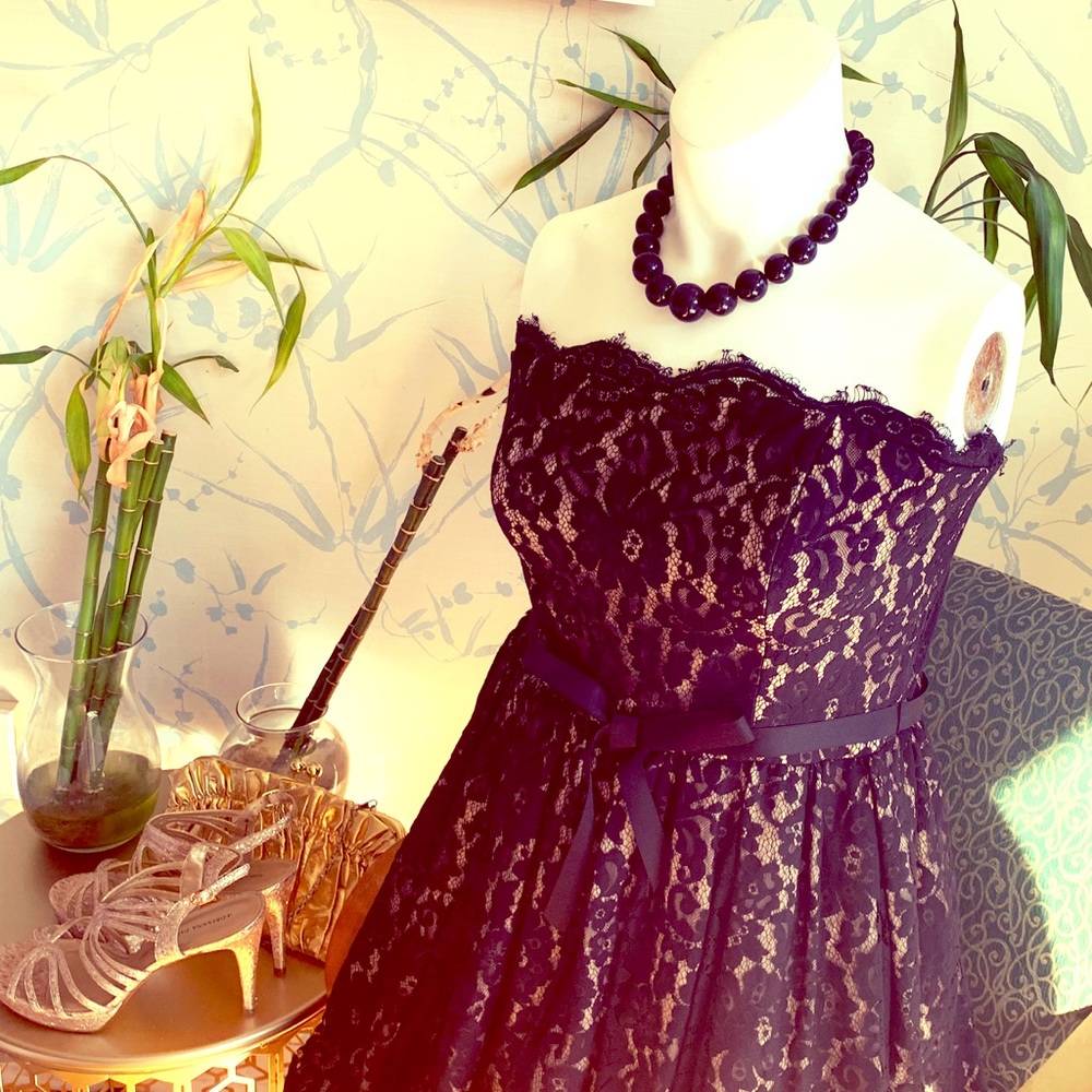 Lace party & cocktail dress